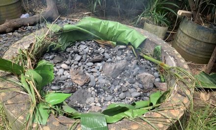 Masak Bakar Batu Jadi Tradisi Di Papua