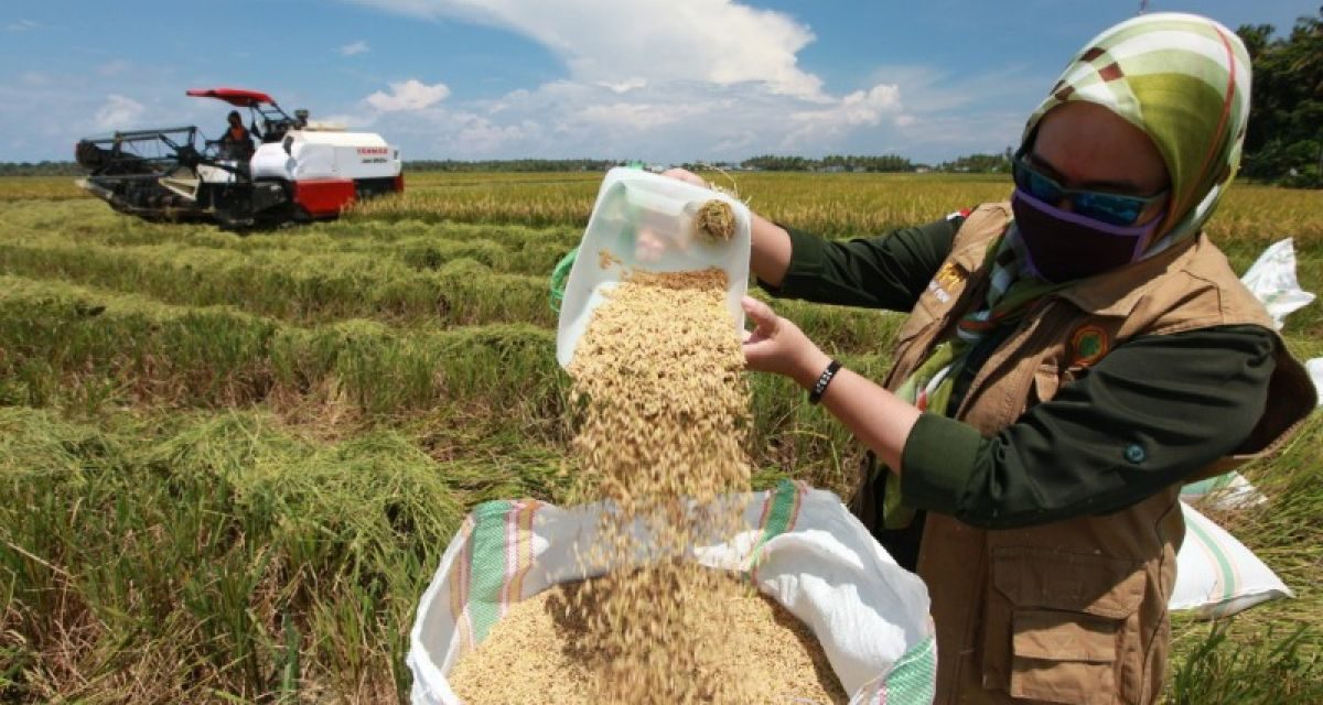 Ketahanan Pangan Nasional Di Tengah Krisis Global