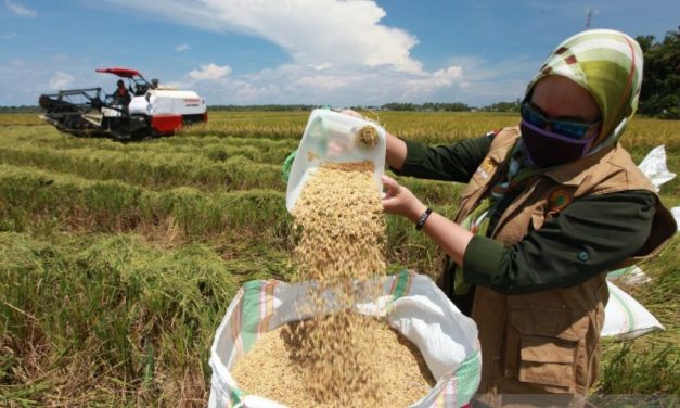 Ketahanan Pangan Nasional Di Tengah Krisis Global