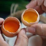 Perbedaan Telur Biasa Dan Telur Ayam Omega