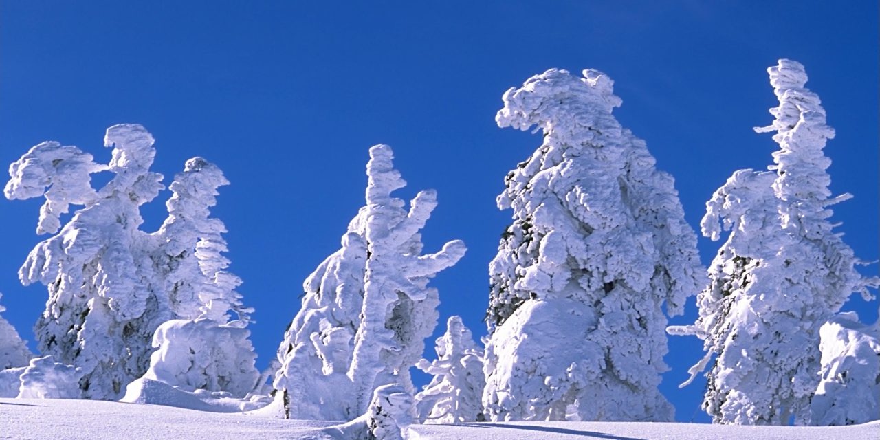 Salju: Proses Terbentuknya Dan Fenomena Yang Menakjubkan