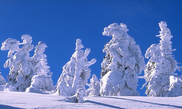 Salju: Proses Terbentuknya Dan Fenomena Yang Menakjubkan