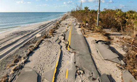 Dari Pantai Ke Bangunan: Perjalanan Pasir dalam Industri