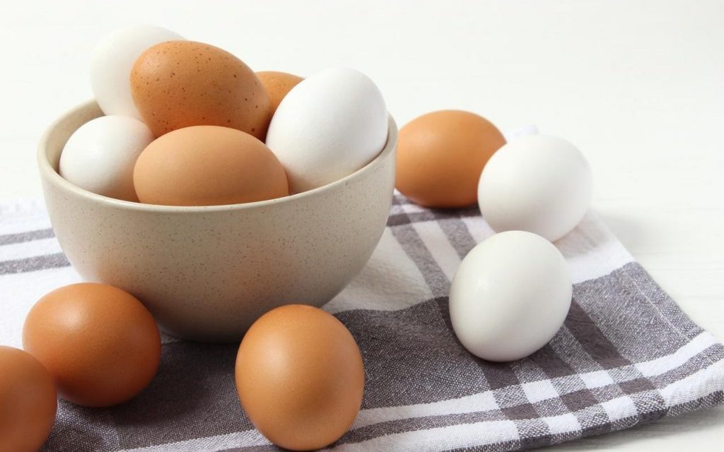 Kandungan Gizi Telur Ayam Dan Perannya Di Pola Makan Sehat