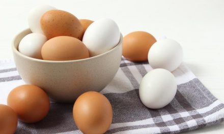 Kandungan Gizi Telur Ayam Dan Perannya Di Pola Makan Sehat
