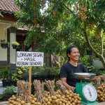 Peluang Bisnis Kelengkeng Di Pasar Lokal Dan Ekspor