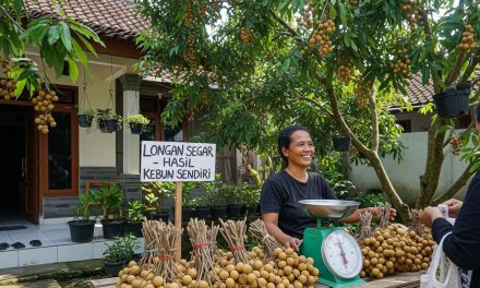 Peluang Bisnis Kelengkeng Di Pasar Lokal Dan Ekspor