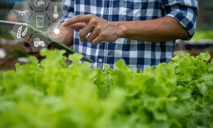 Peran Teknologi Pada Transformasi Sektor Pertanian Berkelanjutan