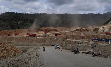 Tambang Dan Deforestasi: Siapa Yang Bertanggung Jawab?