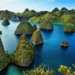 Eksplorasi Kalimantan: Surga Alam Dan Keanekaragaman Hayati
