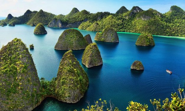 Eksplorasi Kalimantan: Surga Alam Dan Keanekaragaman Hayati