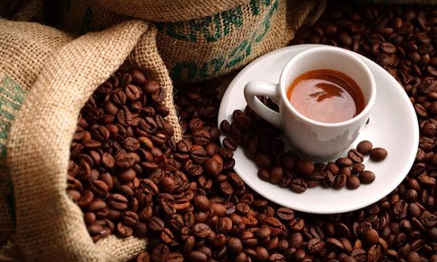 Kopi Aceh: Cita Rasa Dan Kekayaan Kopi Dari Tanah Rencong