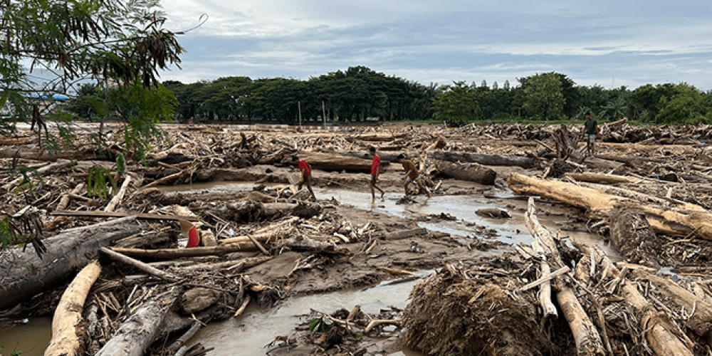 Hutan Gundul: Dampaknya Terhadap Keseimbangan Ekosistem