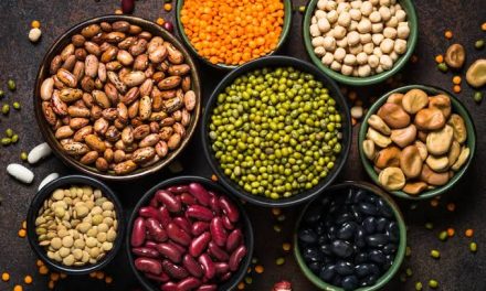 Kacang: Sumber Nutrisi Mudah Ditemukan Dalam Menu Harian