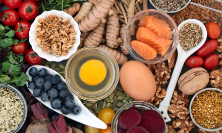 Makan Tinggi Protein: Sumber Nutrisi Untuk Mendukung Aktivitas