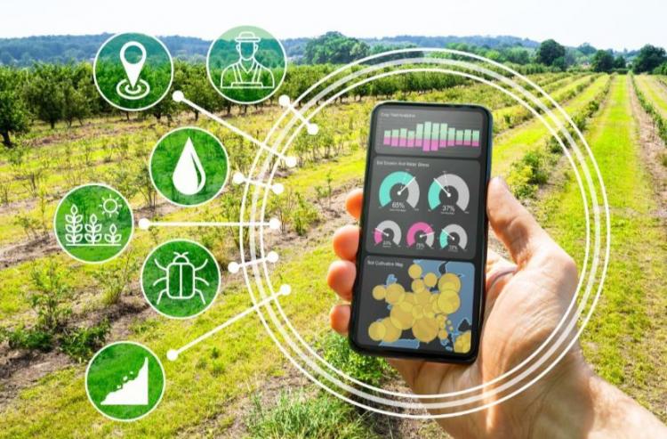 Pemanfaatan Sensor Digital Untuk Meningkatkan Hasil Panen